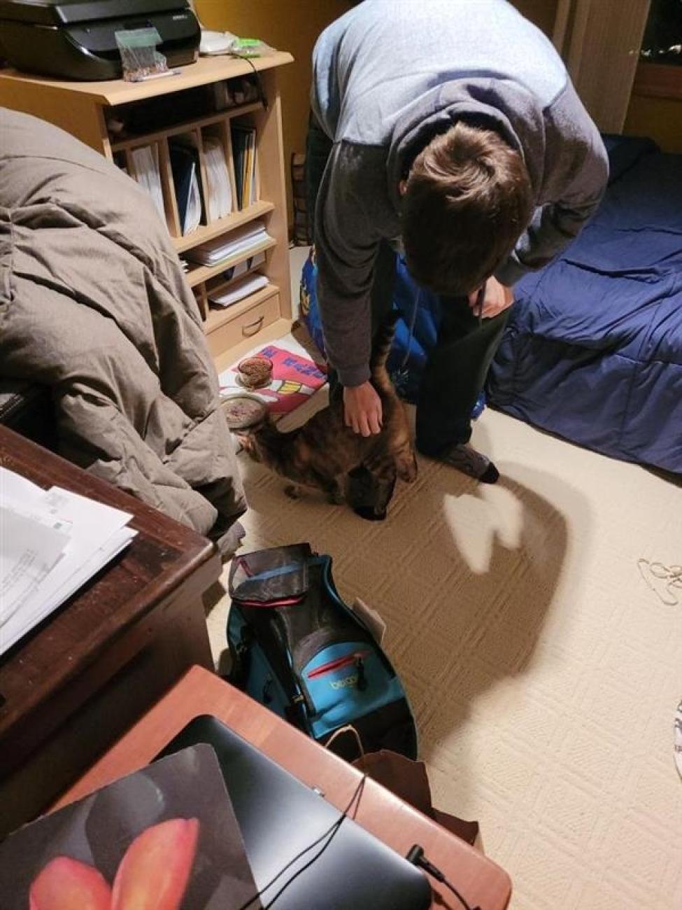 Spadina The Baby Lady The Pet Memorial