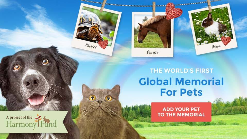 Sign Up! THE WORLD'S FIRST Global Memorial For Pets - A project of Harmony Fund