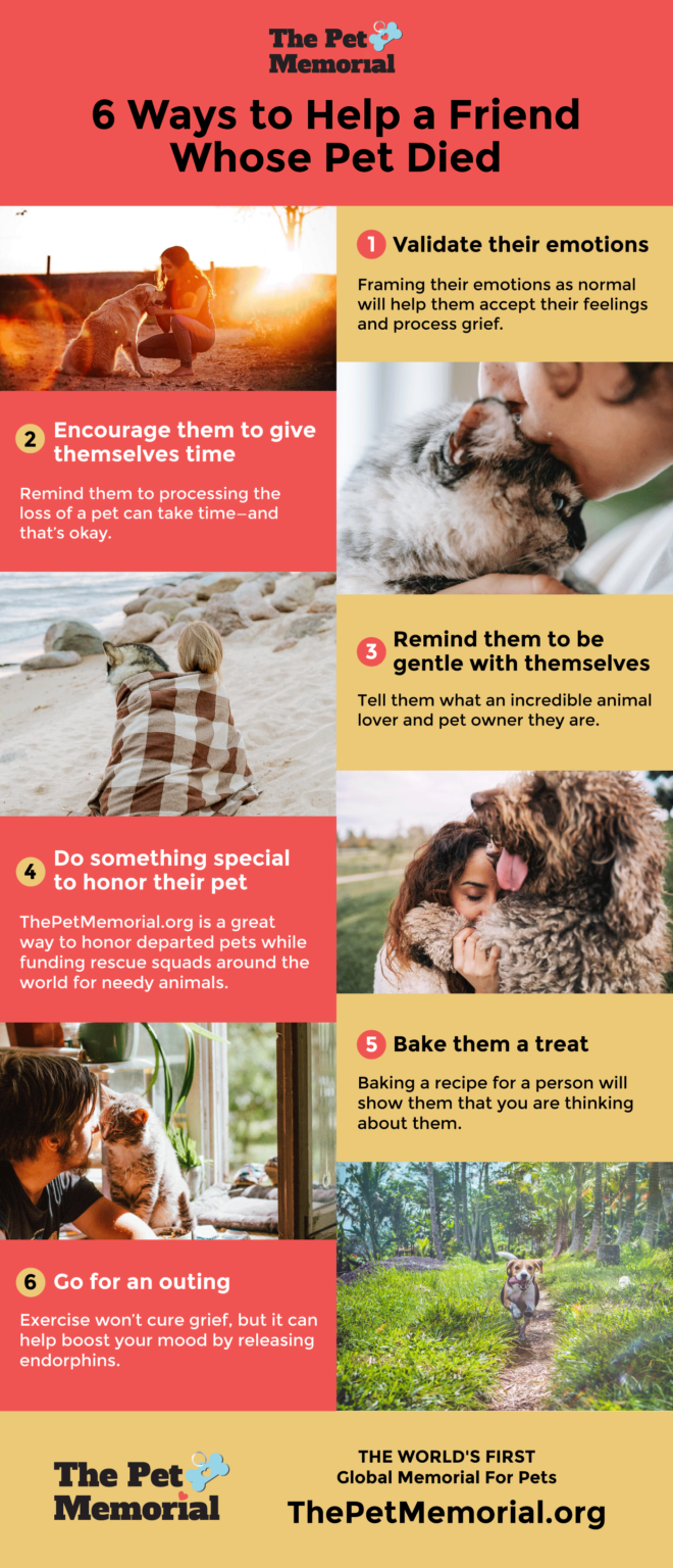 6-ways-to-help-a-friend-whose-pet-died