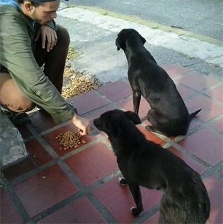 feeding 2 dogs in venezuela