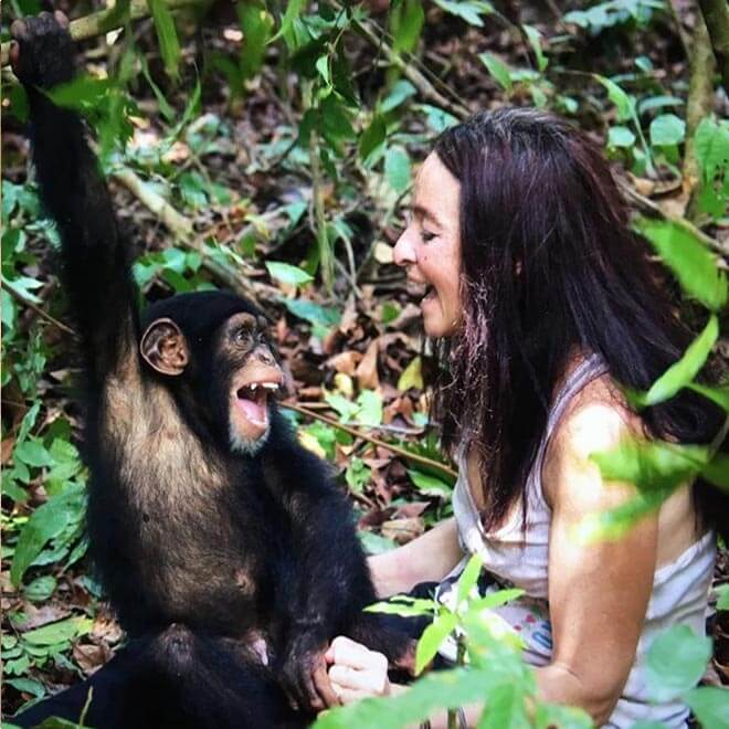 helping baby chimp
