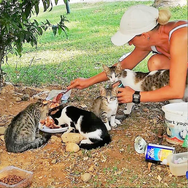 feeding street cats