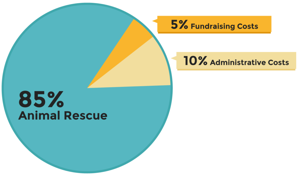 Harmony Fund's Financial pie chart for 2020