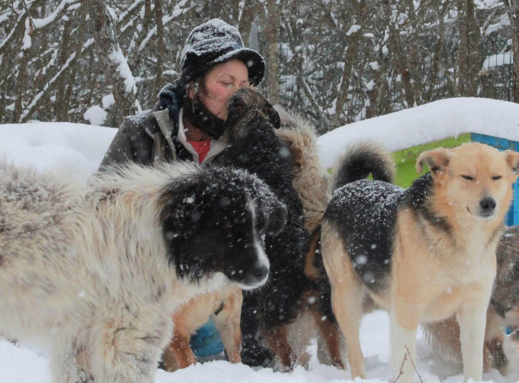 Krissy in the snow with her rescue dogs