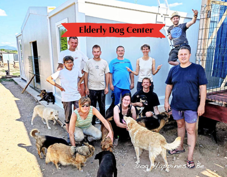 Eldery dog center with volunteers