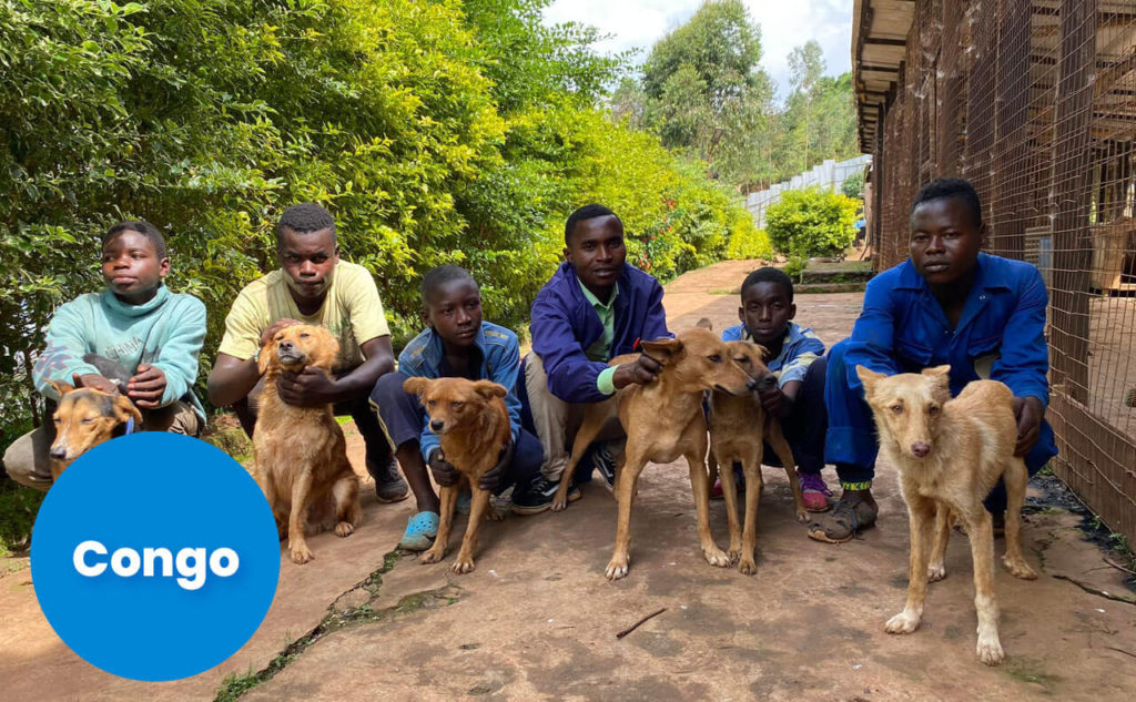 The Young Animal Friends Club at the Sauvons Nos Animaux Shelter in Congo