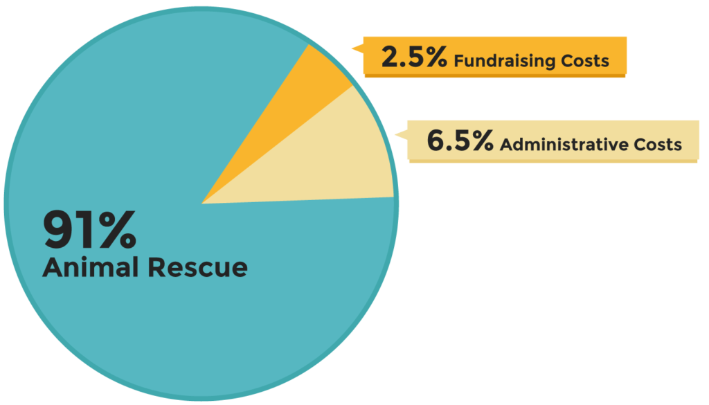 91% Animal Rescue, 2.5% Fundraising Costs, and 6.5% Administrative Costs