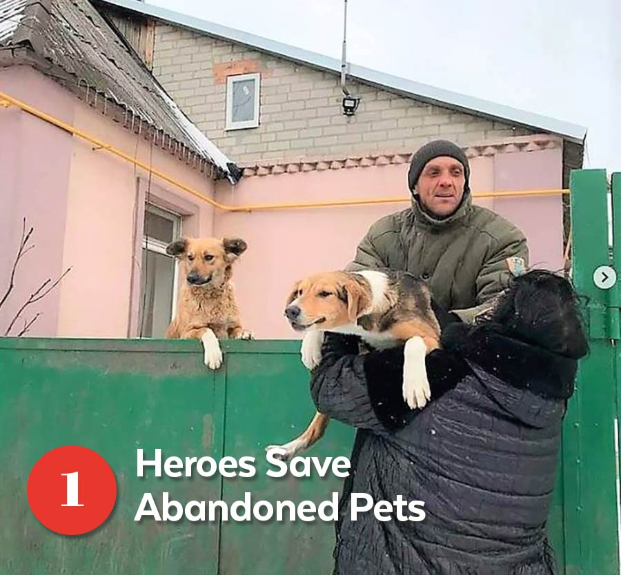 1. Heroes Save Abandoned Pets