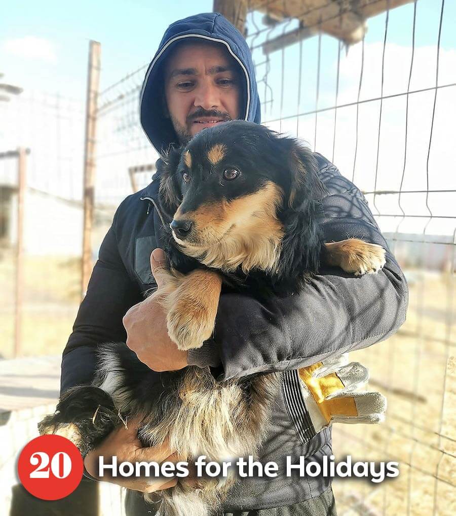 Ukrainian rescuer with rescue dog