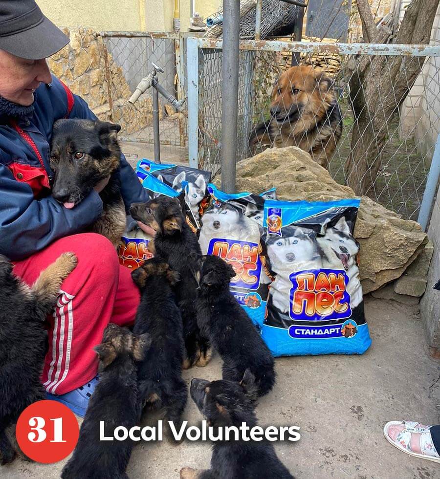 Local volunteers feeding dogs and puppies in urgent need