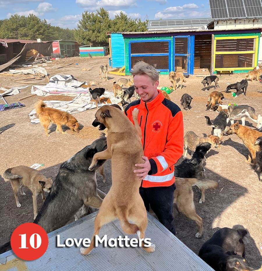 International dog rescuer with many dogs