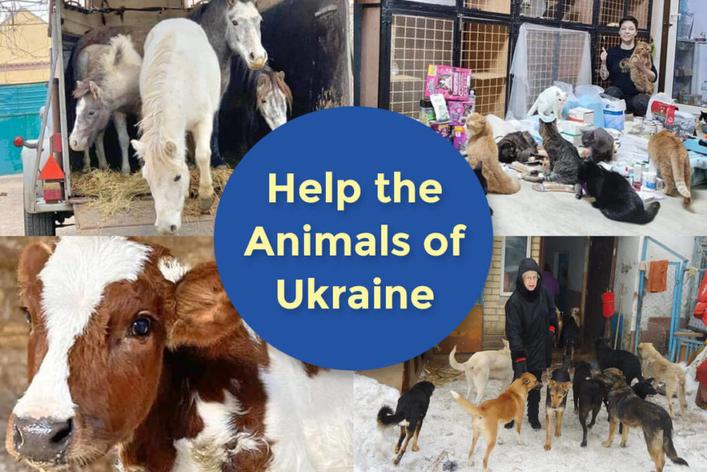 Help the Animals of Ukraine