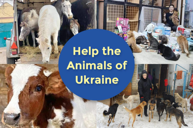 Help the animals of ukraine