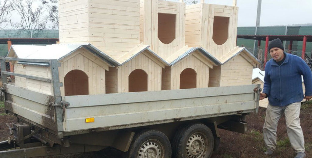 New dog houses delivered for rescue dogs.
