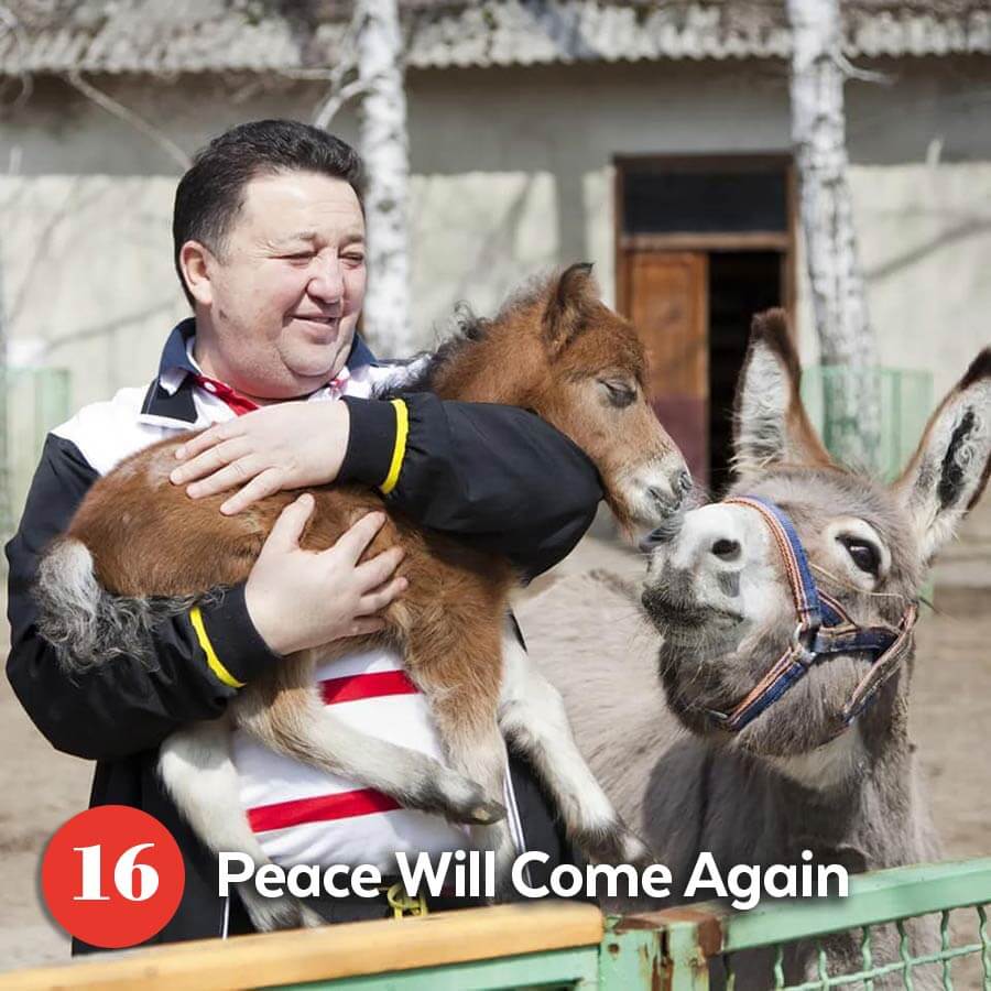 Ukrainian rescuer with baby horse and a donkey