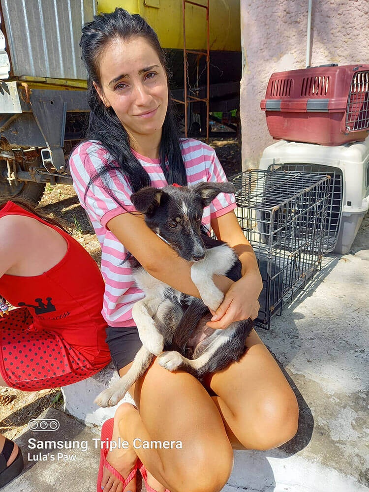 Rescuer holding a puppy in romania