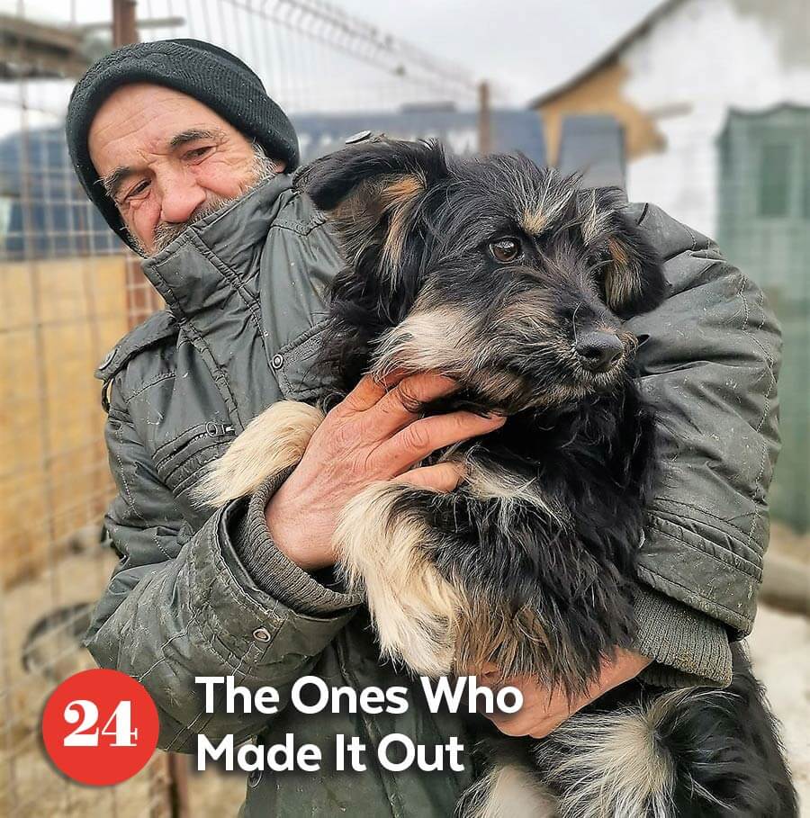 Ukrainian rescuer holding rescue dog