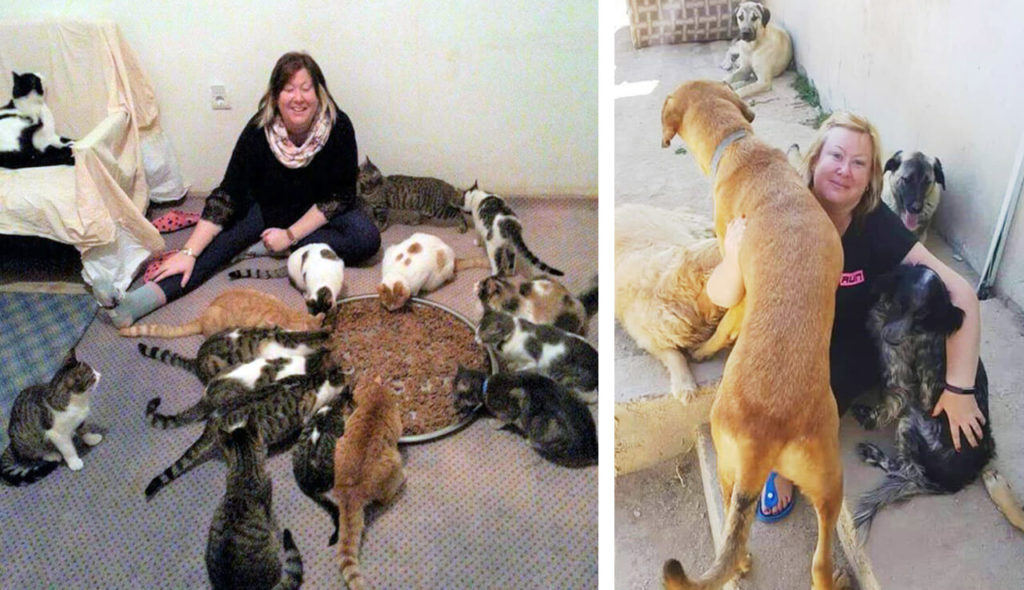 Turkish Rescue Center, rescuer and dogs and cats