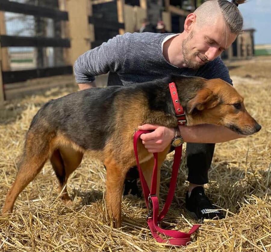 A man and rescue dog in Ukraine