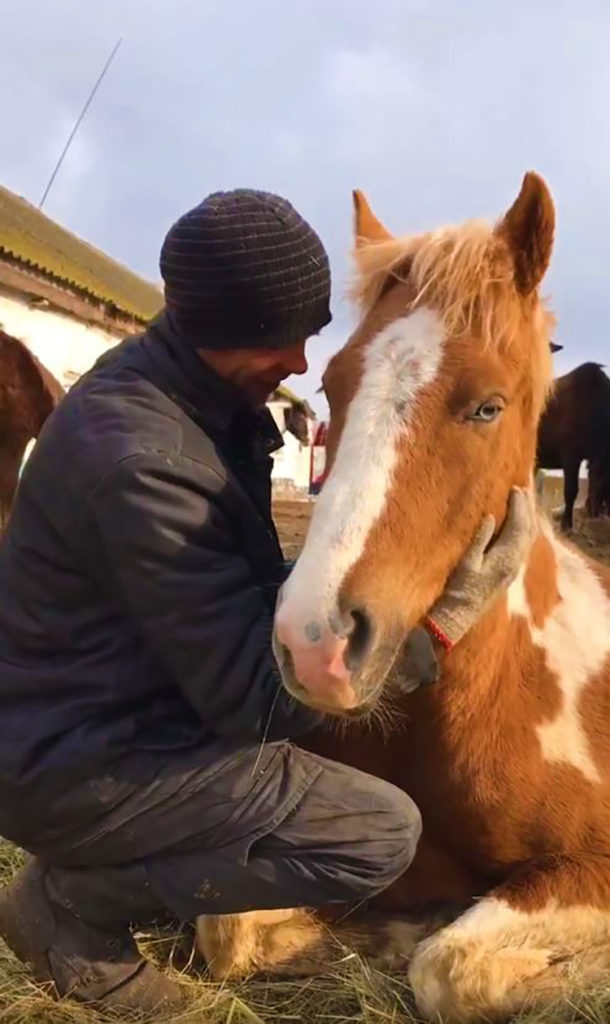 A men caring for horse in Ukraine