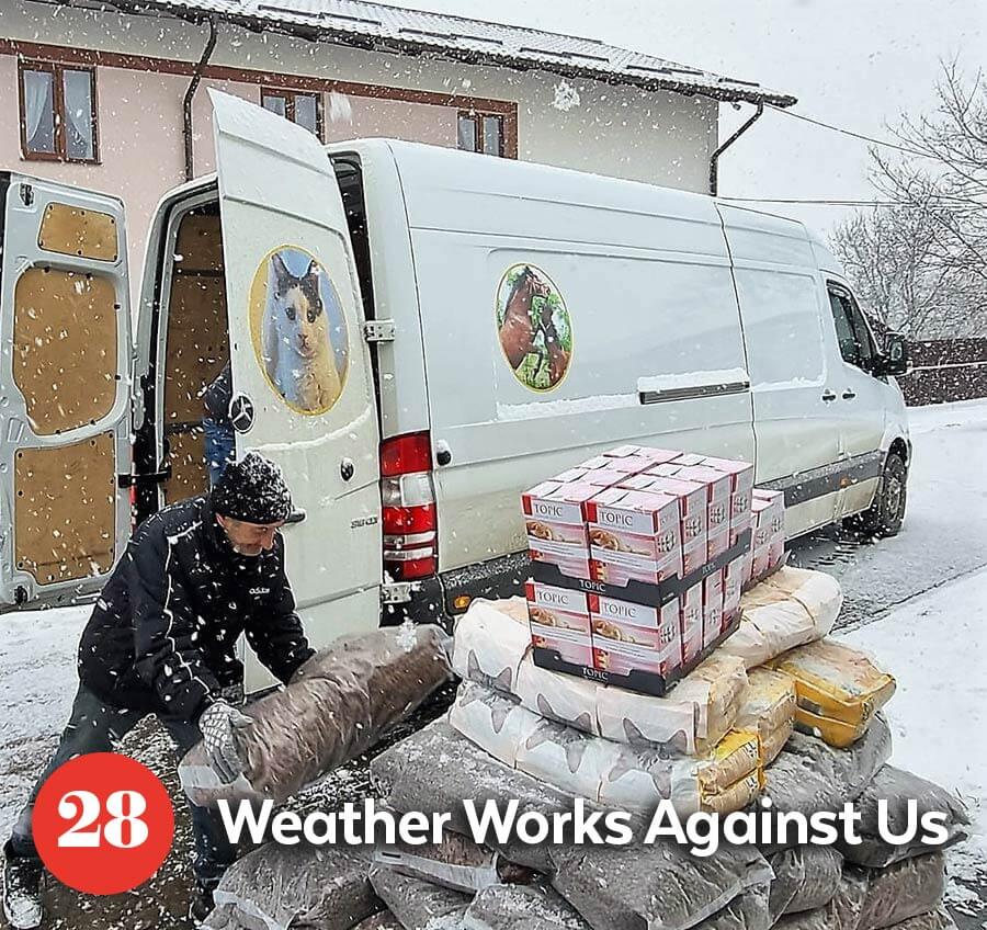 Ukrainian escuers loading donated pet foods in the van