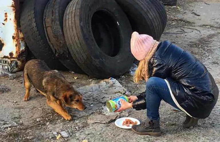 woman feeding street dog in Ukraine