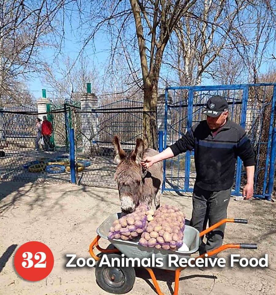 Zee caretaker feeding animals