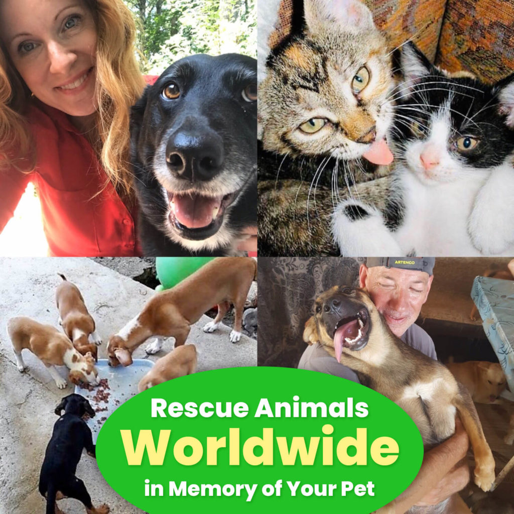 Rescue animals worldwide in memory of your pet