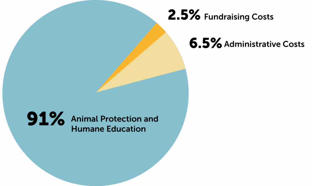 91% Animal Protection and Humane Education, 2.5% Fundraising Costs, 6.5% Administrative Costs
