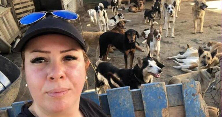 Morocco rescuer with dogs
