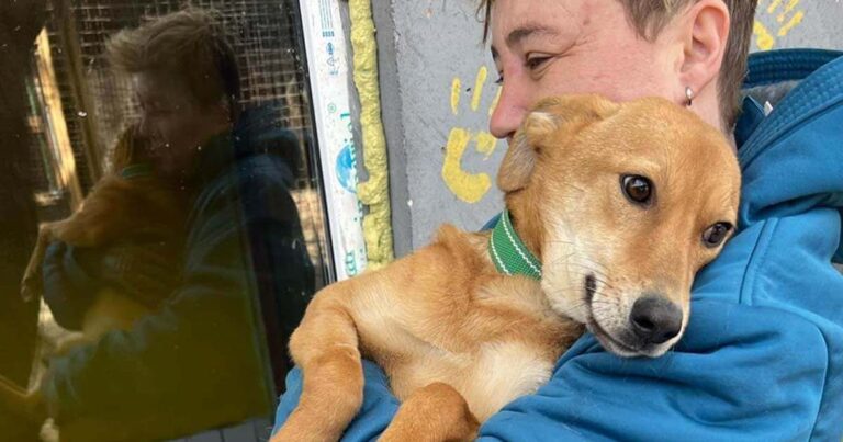 Ukraine rescuer holding dog