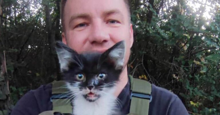 Ukraine rescuer holding kitten