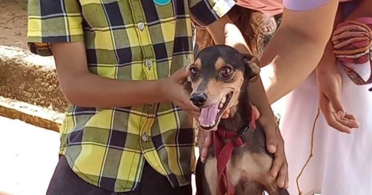 Free Vet Care Reaches Venezuela’s Pets and Strays—Thanks to You!