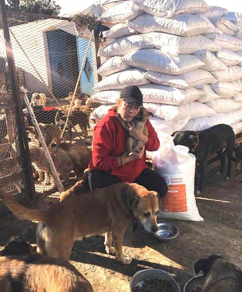 Rescuer holding rescue puppy in Morocco