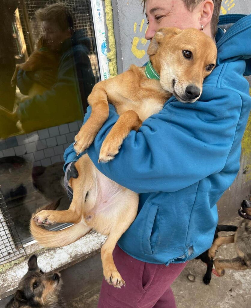 Ukraine rescuer holding dog