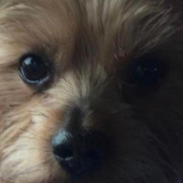 Billi Fletcher profile image 2