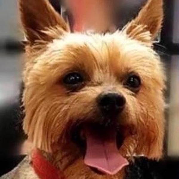 Billi Fletcher profile image 1