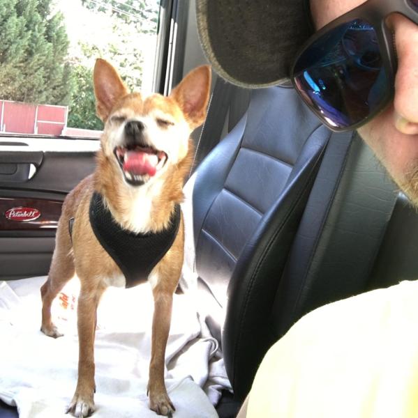 Charlie Wassmer profile image 1
