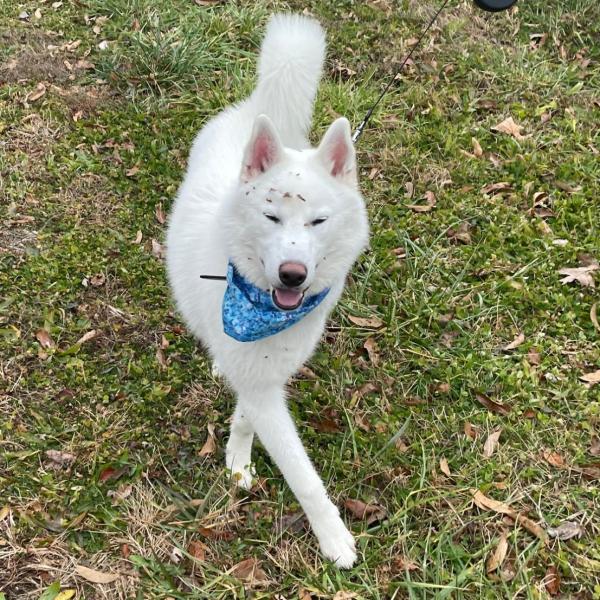 Casper profile image 2