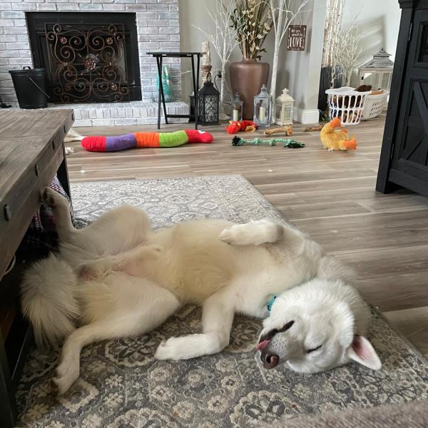Casper profile image 2