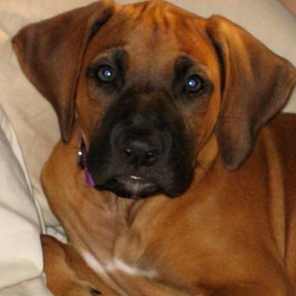 Zena Etheridge profile image 1