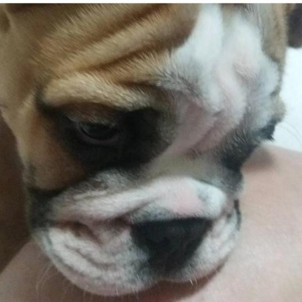 Stewie Nunley profile image 2