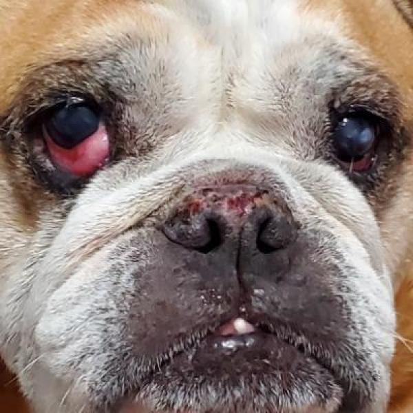 Stewie Nunley profile image 1