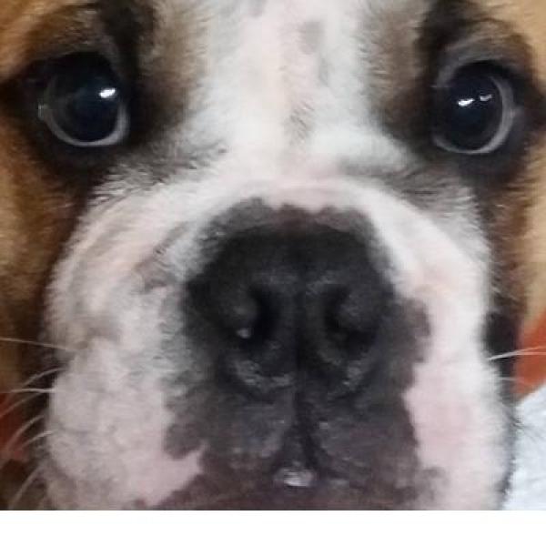 Stewie Nunley profile image 2