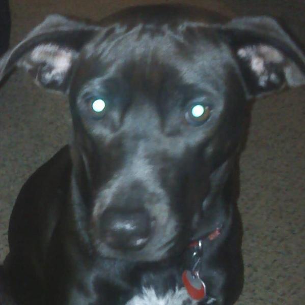 Jasmine Blevins profile image 1