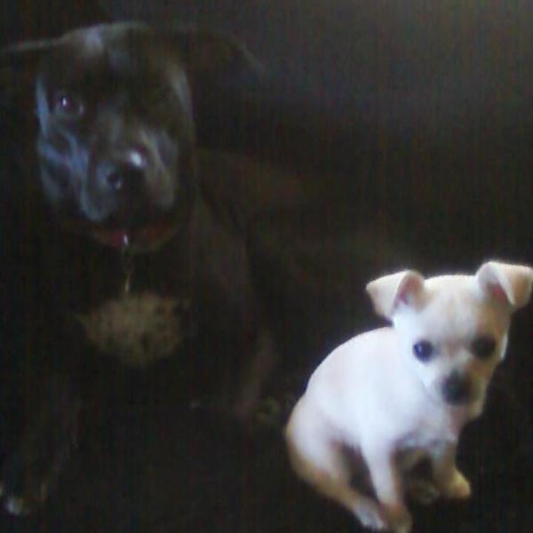 Jasmine Blevins profile image 2