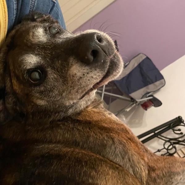 Allie Hawley profile image 1