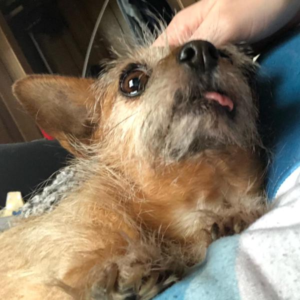 Lady Everett profile image 2