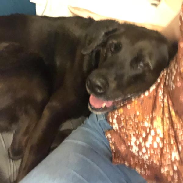 Shadow Everett profile image 2