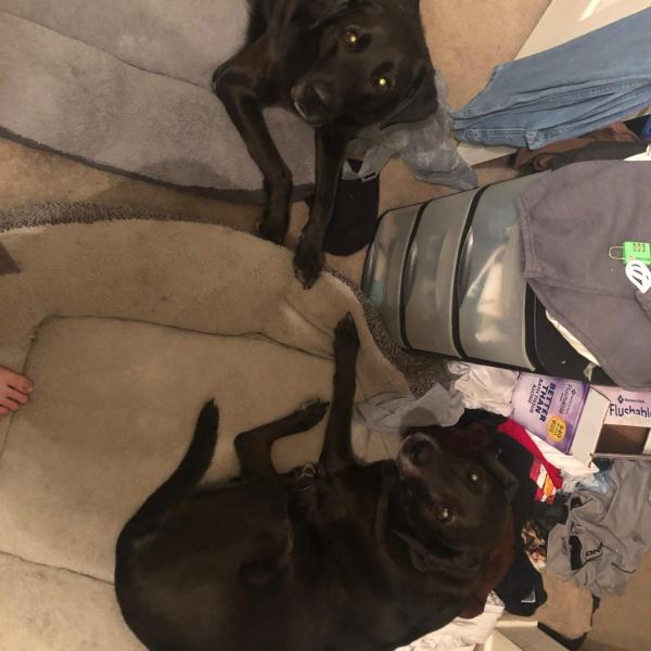 Misty Everett profile image 2